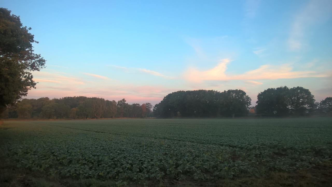 Olseröds Hundcenter&Vandrarhem Degeberga Exterior foto