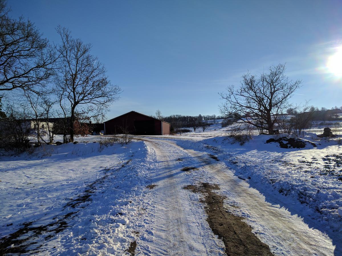 Olseröds Hundcenter&Vandrarhem Degeberga Exterior foto