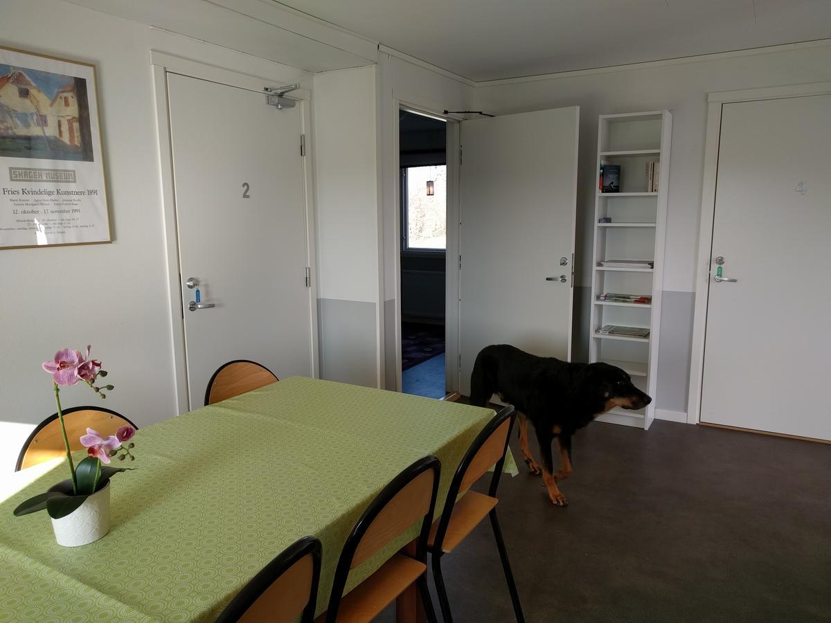 Olseröds Hundcenter&Vandrarhem Degeberga Exterior foto