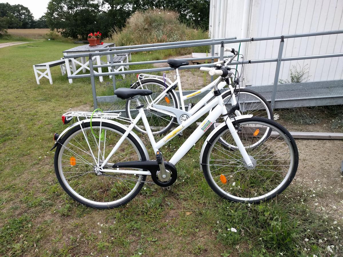 Olseröds Hundcenter&Vandrarhem Degeberga Exterior foto